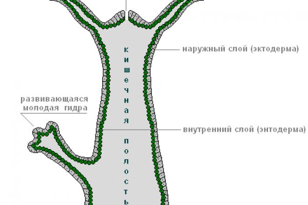 Магазин кракен в москве наркотики